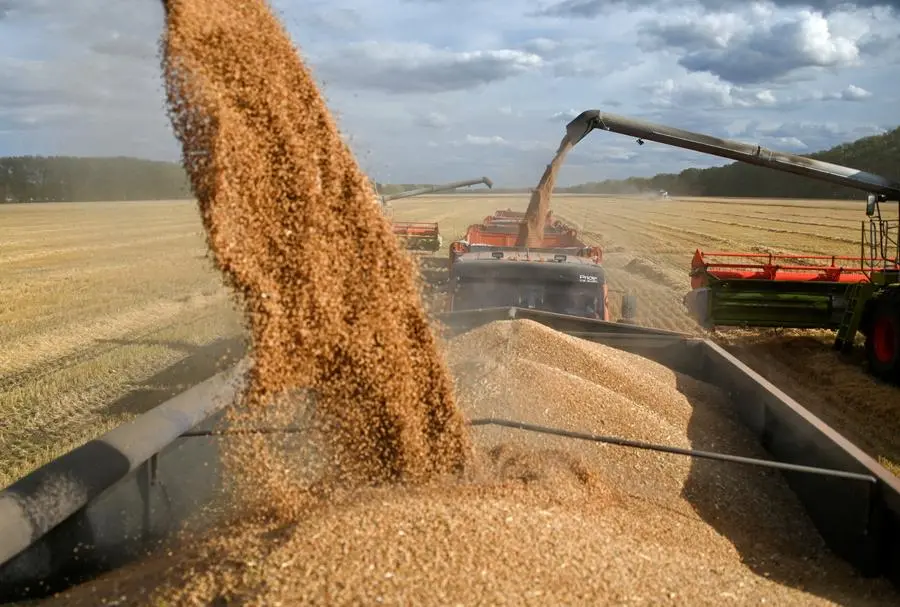 "إيكار" ترفع توقعاتها لمحصول الحبوب الروسي إلى 141.6 مليون طن في 2023