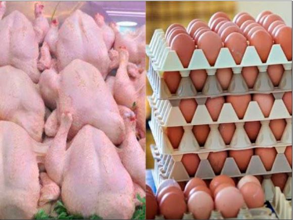 منتجي الدواجن: مصر لم تستورد طبق بيض واحد منذ الثمانينات
