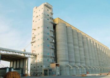 أرباح مطاحن الإسكندرية تقفز 96.9% خلال الربع الأول من العام المالي 2023/24