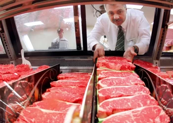 أسعار اللحوم