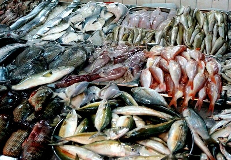 البلطي والبوري.. أسعار الأسماك اليوم الأربعاء في سوق العبور