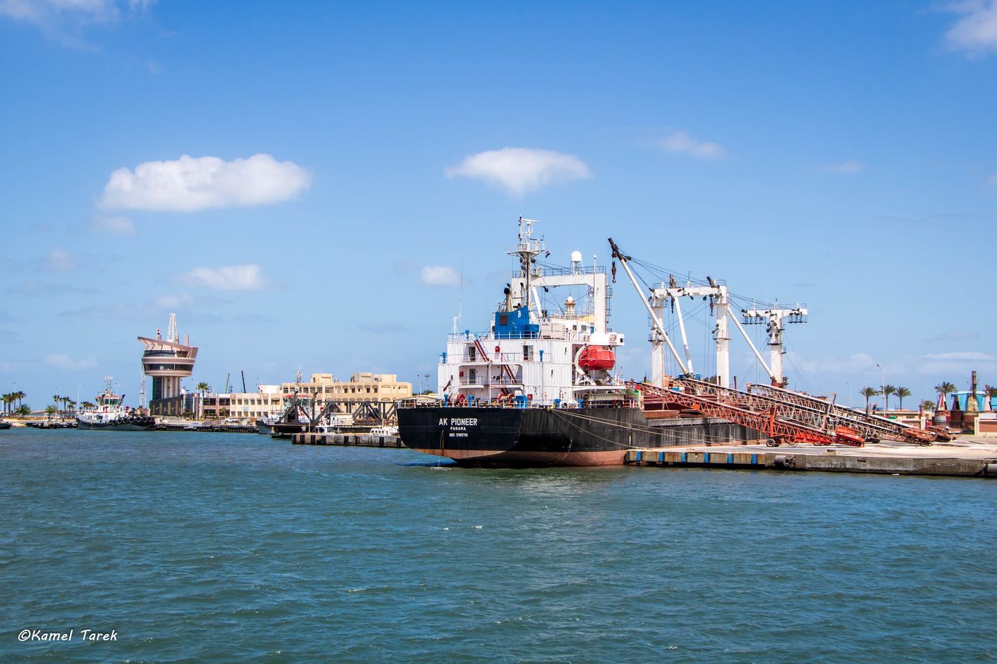 ميناء دمياط يستقبل 4875 طن ذرة و 2292 طن فول صويا