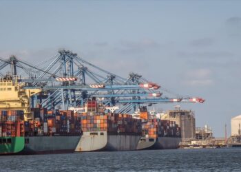 بدون ذرة وفول صويا.. تداول بضائع وحاويات 18 سفينة في ميناء دمياط