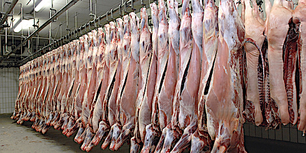 شعبة القصابين: استقرار أسعار اللحوم والكيلو يسجل 400 جنيه