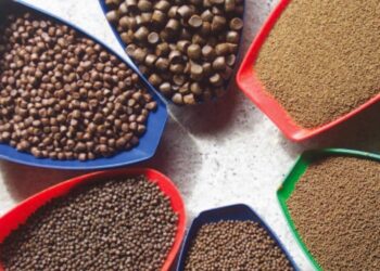 مكة للأعلاف: وفرة في المعروض واستقرار الأسعار خلال الفترة المقبلة+