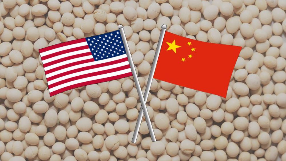 الزراعة الأمريكية ترفع تقديرات واردات فول الصويا الصيني إلى 100 مليون طن 2023/24