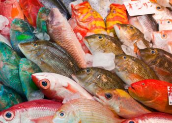 انخفاض واردات الصين من المنتجات السمكية اليابانية بنسبة 99% في أكتوبر