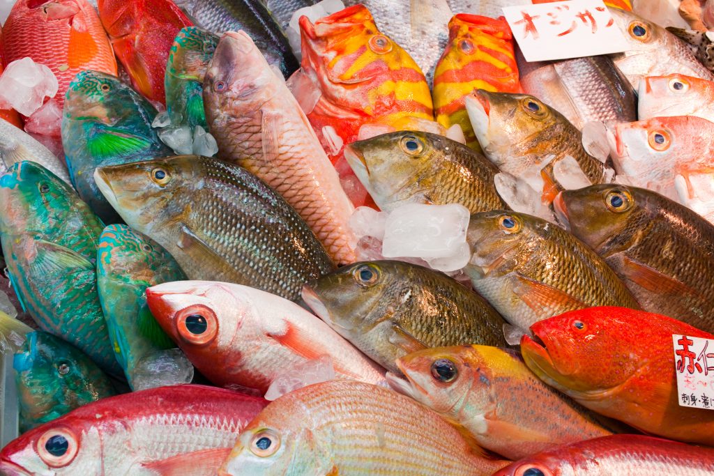 انخفاض واردات الصين من المنتجات السمكية اليابانية بنسبة 99% في أكتوبر