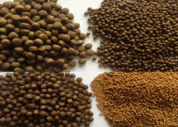 خاص| مدير بيع بأحد شركات علف الأسماك: الطقس الجيد يرفع الطلب على الأعلاف