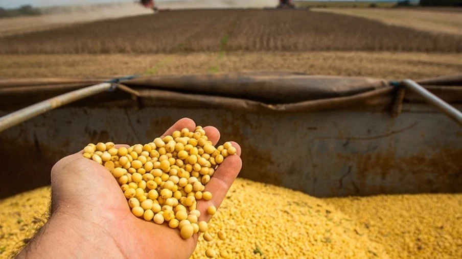 الزراعة الأمريكية: بيع 86.4 ألف طن كسب فول الصويا من حصاد 2023/24 خلال أسبوع