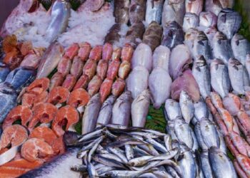 البلطي والبوري.. أسعار السمك اليوم الثلاثاء في سوق العبور