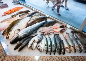 البلطي والبوري.. أسعار السمك اليوم الأحد في سوق العبور