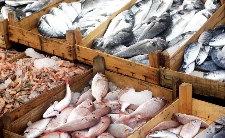 انخفض الإنتاج السمكي في الفلبين بنسبة 6.1% خلال الربع الثالث من 2023