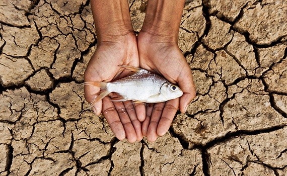التغير المناخي وتأثيره على تربية الأحياء المائية
