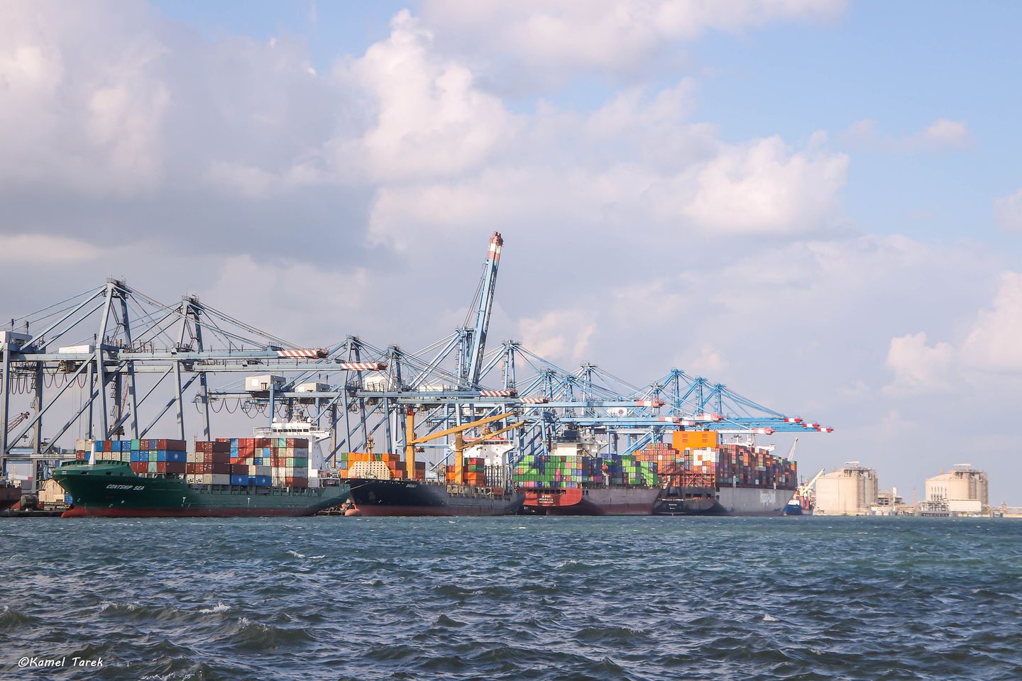 ميناء دمياط يستقبل 8354 طن ذرة خلال 24 ساعة