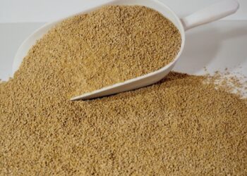 خاص| الفجر للأعلاف: تراجع حاد في التربية المنزلية واستقرار سعر العلف خلال الفترة المقبلة