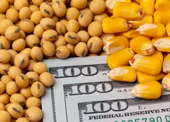 مستوردي خامات: الأسعار الحالية تقترب من سعر التكلفة نتيجة لوفرة المعروض