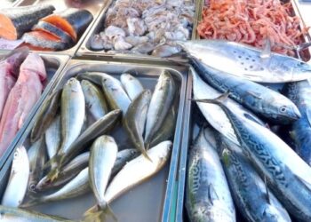 أسعار السمك اليوم الثلاثاء في سوق العبور