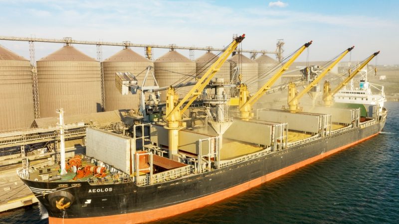 أوكرانيا تقود صادرات الحبوب القياسية في ميناء كونستانتا الروماني