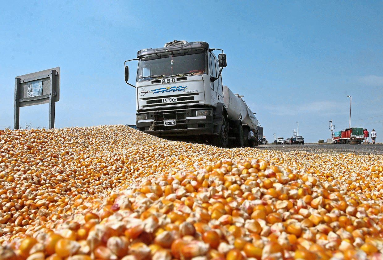 الأرجنتين تستأنف تسجيل تراخيص تصدير الحبوب بعد الإعلانات الاقتصادية