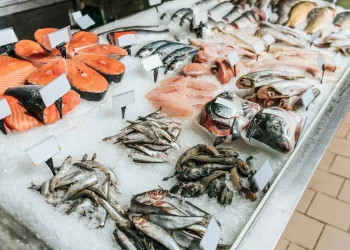 أسعار السمك اليوم الثلاثاء في سوق العبور