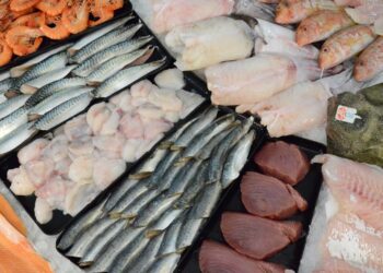 أسعار السمك اليوم الخميس في سوق العبور