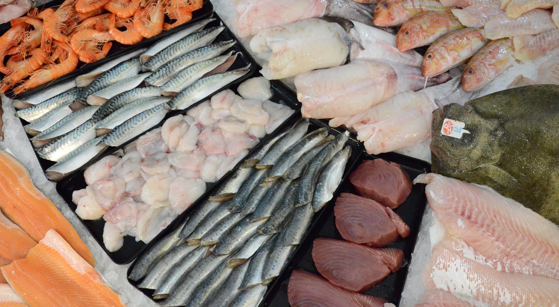 أسعار السمك اليوم الخميس في سوق العبور
