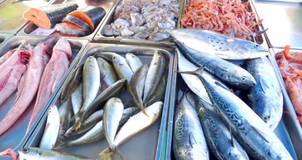 أسعار السمك اليوم الأحد في سوق العبور