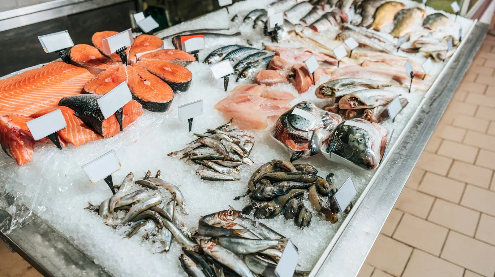 أسعار السمك اليوم الثلاثاء في سوق العبور
