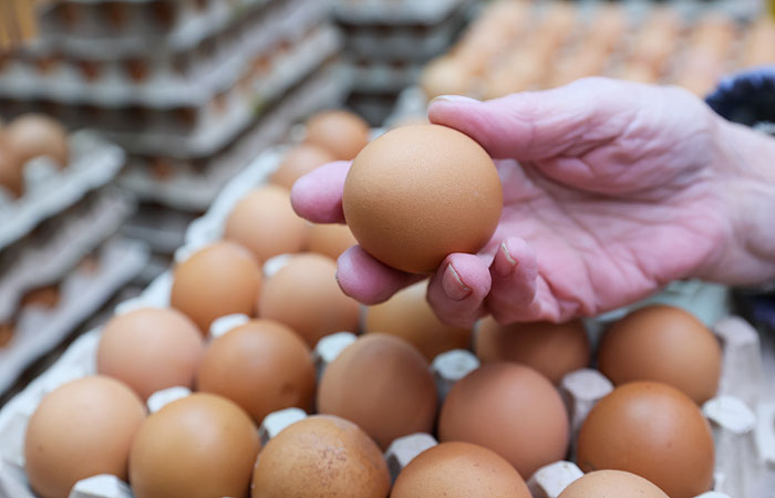 الارتفاع الحاد في أسعار البيض يحفز التضخم الأسبوعي الروسي