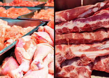 البرازيل تعتزم زيادة صادرات اللحوم في 2024