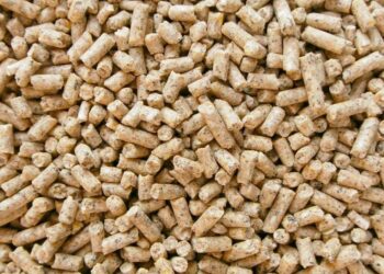 أسعار العلف