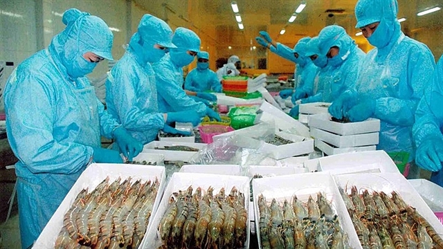توقعات بانتعاش صادرات فيتنام من الأسماك في النصف الأول من عام 2024
