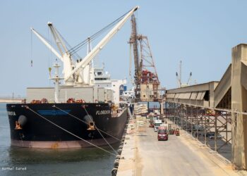 ميناء دمياط يستقبل 4618 طن ذرة و 6000 طن كسب صويا