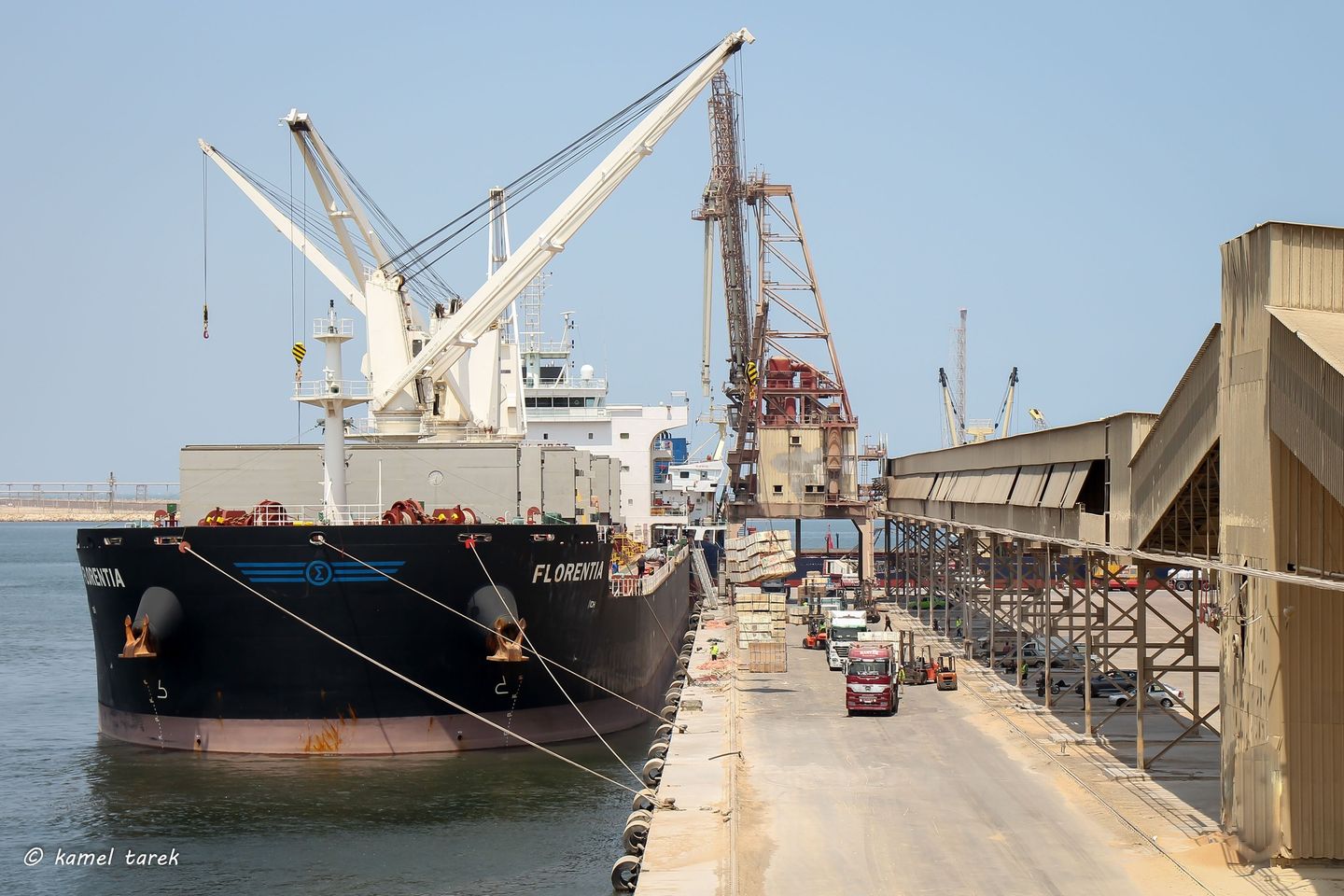 ميناء دمياط يستقبل 4618 طن ذرة و 6000 طن كسب صويا