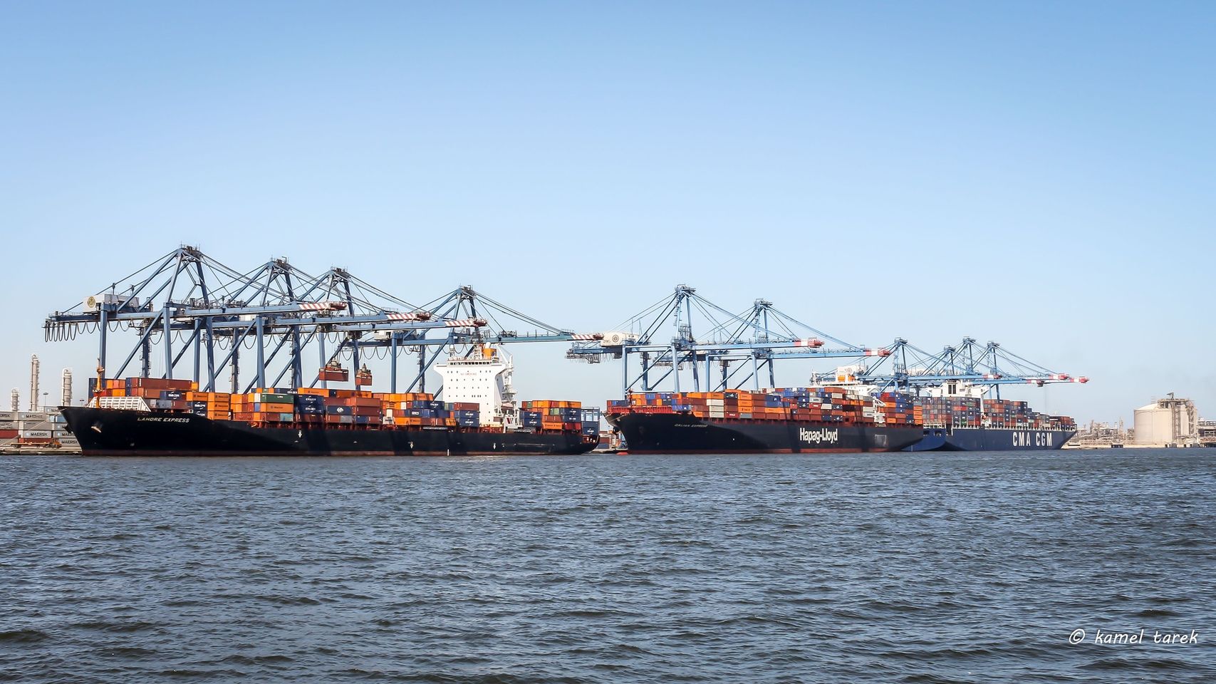 ميناء دمياط يستقبل 100 طن ذرة خلال 24 ساعة