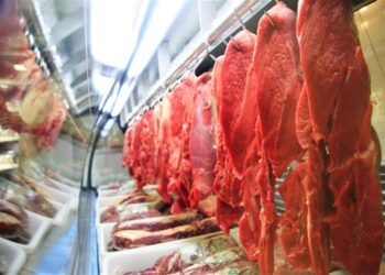 إندونيسيا تستورد اللحوم من البرازيل والهند في عام 2024