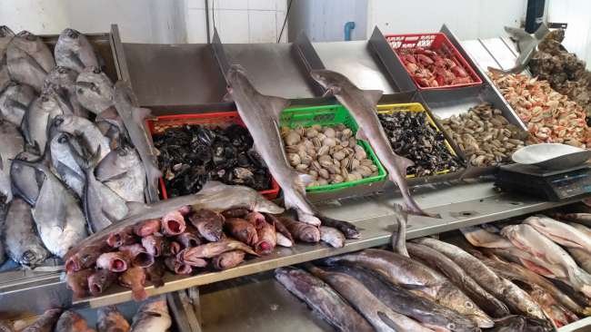 أسعار السمك اليوم الأربعاء في سوق العبور
