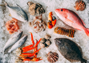 أسعار السمك اليوم السبت في سوق العبور