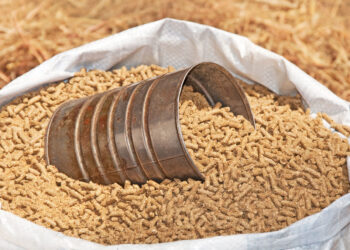 خاص| المجد: سوق الأعلاف يفتقد حالة النشاط لهذه الأسباب