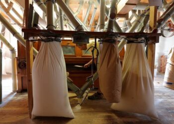 مطاحن ومخابز شمال القاهرة تسجل نموا بنسبة 54% خلال يوليو الماضي