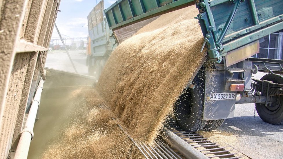 صادرات الحبوب الروسية تتباطأ في فبراير بعد شحن 5.3 مليون طن خلال يناير