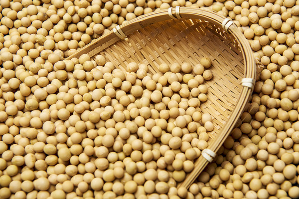 وزارة الزراعة الصينية تحدد إنتاج الحبوب لعام 2024 بأكثر من 650 مليون طن