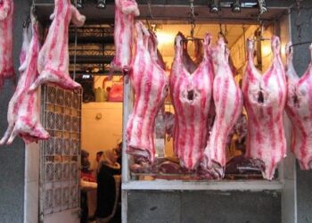 الكيلو بـ280 جنيه.. الزراعة تعلن طرح اللحوم البلدية فى منافذها طوال أيام الاسبوع
