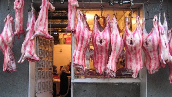 الكيلو بـ280 جنيه.. الزراعة تعلن طرح اللحوم البلدية فى منافذها طوال أيام الاسبوع