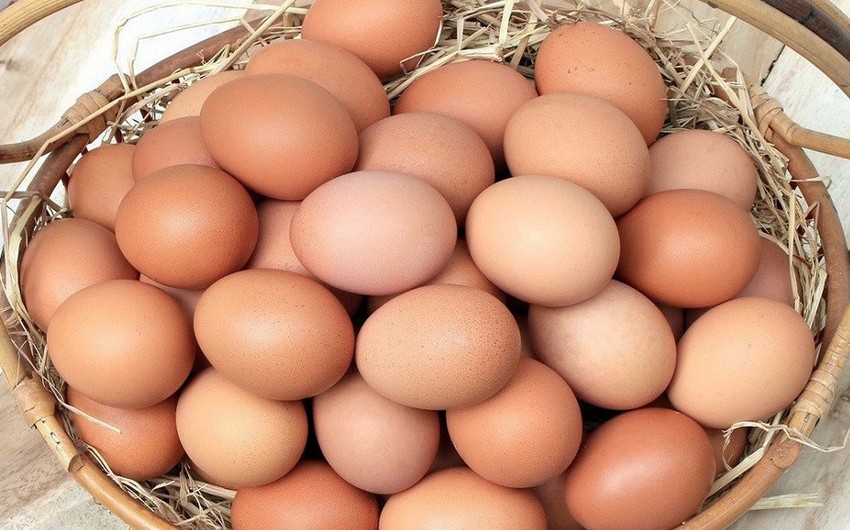 روسيا تستورد 20 مليون بيضة من أذربيجان وتركيا