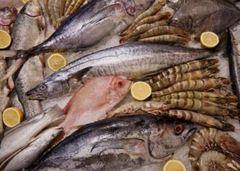 أسعار السمك اليوم الخميس في سوق العبور