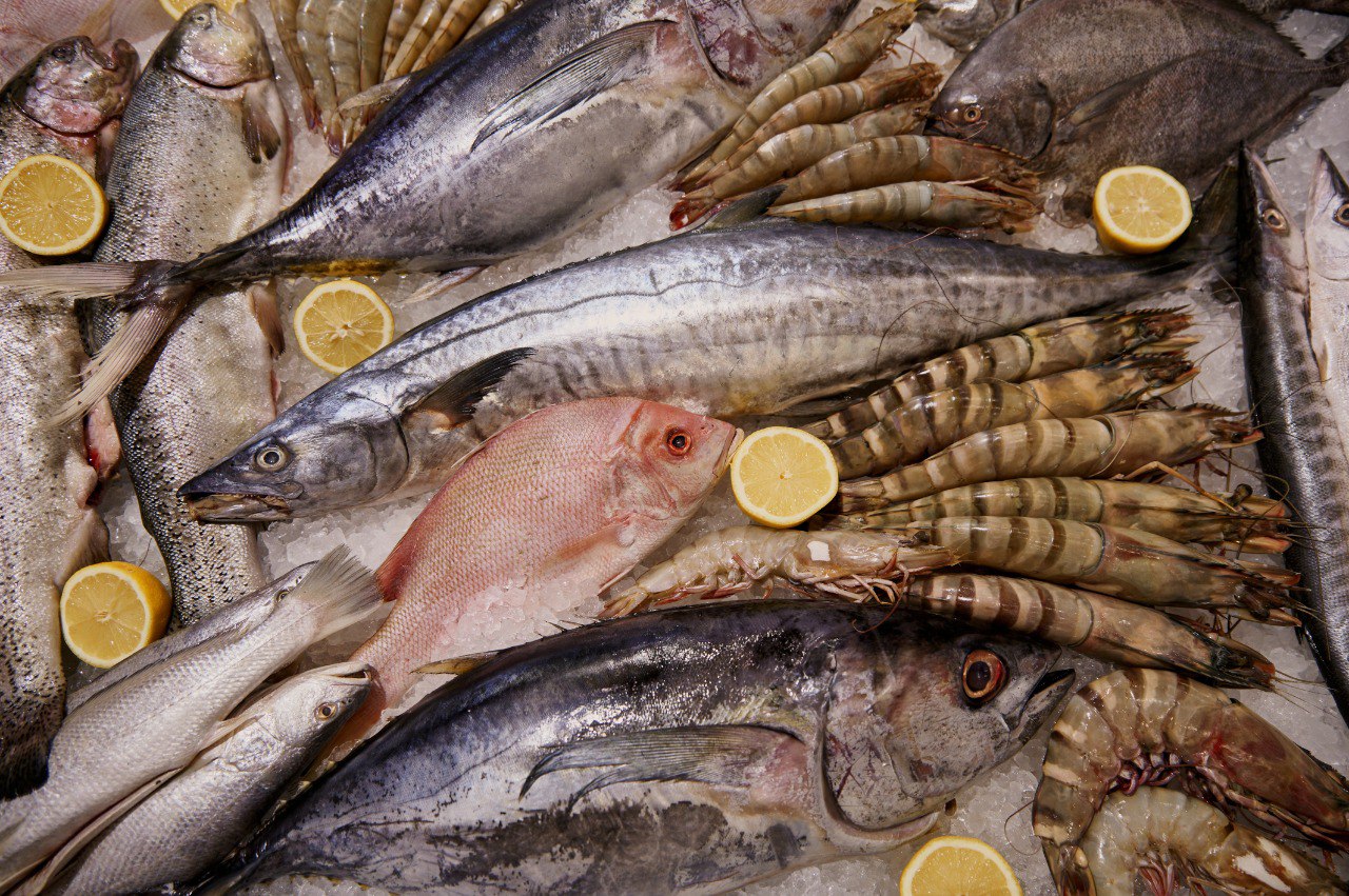 أسعار السمك اليوم الخميس في سوق العبور