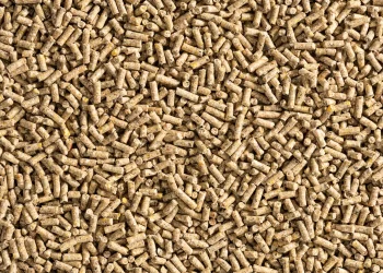 الحمد لـ"قلم بيطري": سعر العلف الحالي متناسب مع أسعار مستلزمات الإنتاج