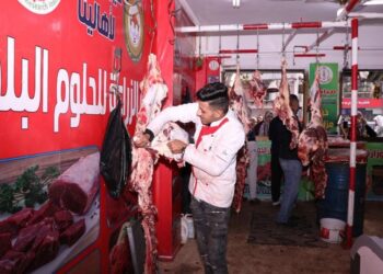 اللحوم البلدي بـ300 والسمك البلطي بـ70 جنيه.. أسعار السلع الغذائية في منافذ وزارة الزراعة